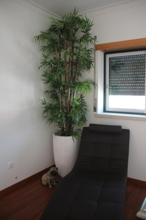 Olive View Villa Vila Nova da Barquinha Eksteriør bilde
