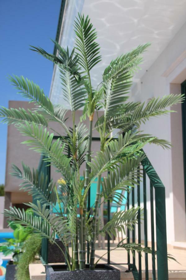 Olive View Villa Vila Nova da Barquinha Eksteriør bilde